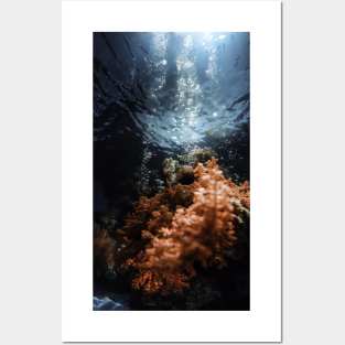 Ocean picture Posters and Art